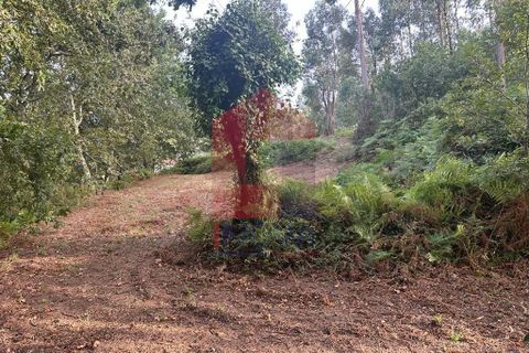 Farm i Vila Verde, Braga, Vila Verde - € 171.000 | Ref: 08130 - foto 14