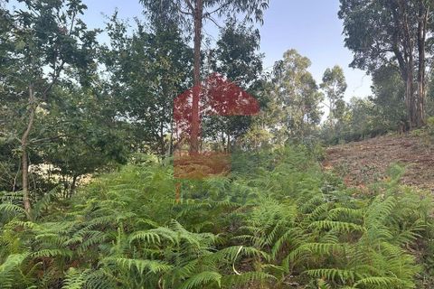 Farm i Vila Verde, Braga, Vila Verde - € 171.000 | Ref: 08130 - foto 15