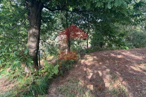 Farm i Vila Verde, Braga, Vila Verde - € 171.000 | Ref: 08130 - foto 18