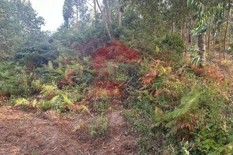 Farm i Vila Verde, Braga, Vila Verde - € 171.000 | Ref: 08130 - foto 19