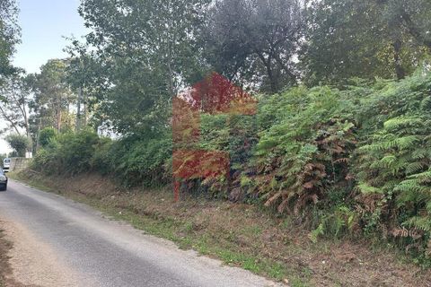 Farm i Vila Verde, Braga, Vila Verde - € 171.000 | Ref: 08130 - foto 20