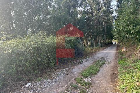 Helårsgrund i Vila Verde, Braga, Vila Verde - € 31.500 | Ref: 08131 - foto 6
