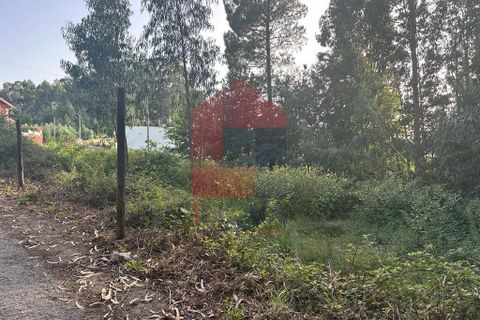 Helårsgrund i Vila Verde, Braga, Vila Verde - € 31.500 | Ref: 08131 - foto 10