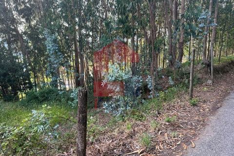 Helårsgrund i Vila Verde, Braga, Vila Verde - € 31.500 | Ref: 08131 - foto 11