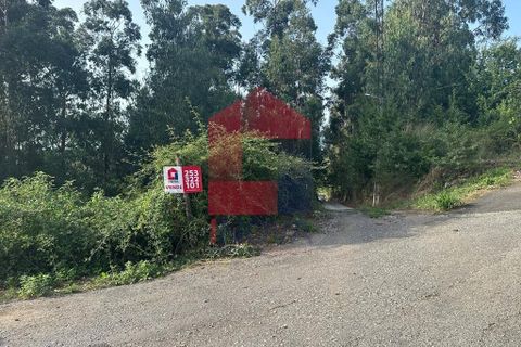Helårsgrund i Vila Verde, Braga, Vila Verde - € 31.500 | Ref: 08131 - foto 12