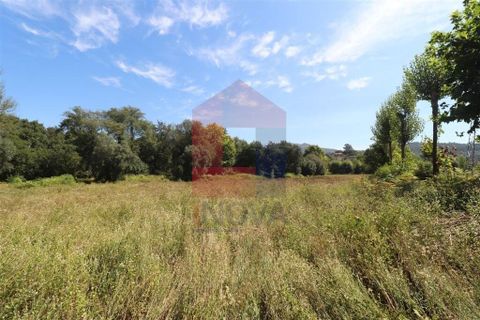 Helårsgrund i Amares, Braga, Amares - € 99.900 | Ref: 08129 - foto 3