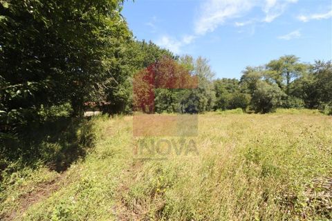 Helårsgrund i Amares, Braga, Amares - € 99.900 | Ref: 08129 - foto 5