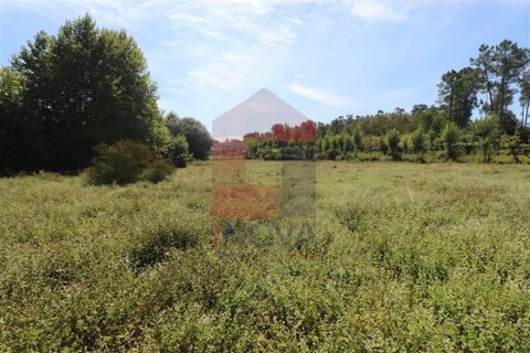 Helårsgrund i Amares, Braga, Amares - € 99.900 | Ref: 08129 - foto 6