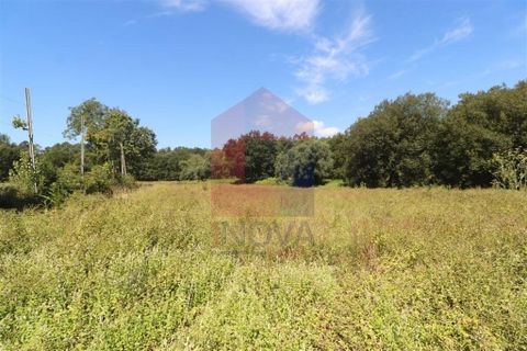 Helårsgrund i Amares, Braga, Amares - € 99.900 | Ref: 08129 - foto 7