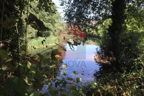 Helårsgrund i Amares, Braga, Amares - € 99.900 | Ref: 08129 - foto 15