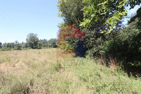 Helårsgrund i Amares, Braga, Amares - € 99.900 | Ref: 08129 - foto 16