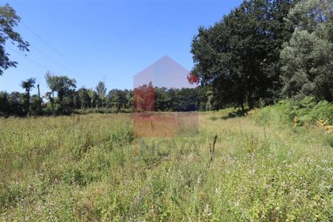 Helårsgrund i Amares, Braga, Amares - € 99.900 | Ref: 08129 - foto 18