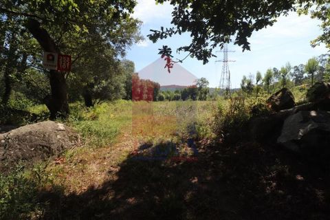 Helårsgrund i Amares, Braga, Amares - € 99.900 | Ref: 08129 - foto 20