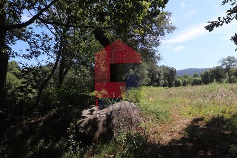Helårsgrund i Amares, Braga, Amares - € 99.900 | Ref: 08129 - foto 21