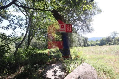 Helårsgrund i Amares, Braga, Amares - € 99.900 | Ref: 08129 - foto 26