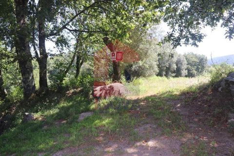 Helårsgrund i Amares, Braga, Amares - € 99.900 | Ref: 08129 - foto 29