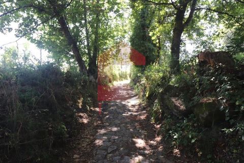 Helårsgrund i Amares, Braga, Amares - € 99.900 | Ref: 08129 - foto 31