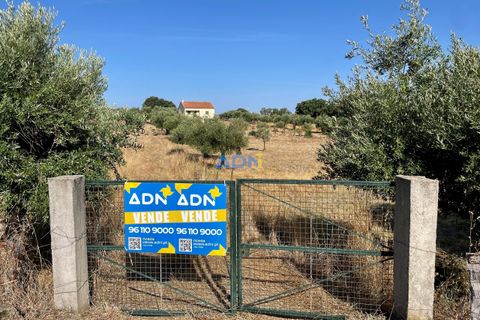 Farm hus i Castelo Branco, Castelo Branco, Castelo Branco - € 190.000 | Ref: 123063 - foto 1