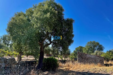 Farm hus i Castelo Branco, Castelo Branco, Castelo Branco - € 190.000 | Ref: 123063 - foto 2