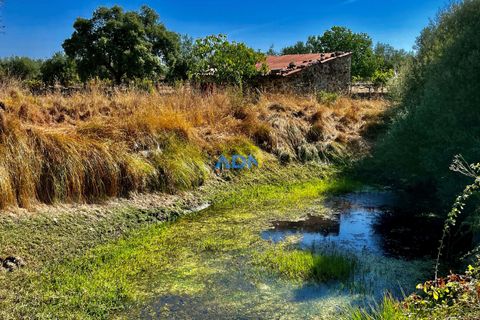 Farm hus i Castelo Branco, Castelo Branco, Castelo Branco - € 190.000 | Ref: 123063 - foto 4
