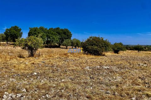 Farm hus i Castelo Branco, Castelo Branco, Castelo Branco - € 190.000 | Ref: 123063 - foto 5