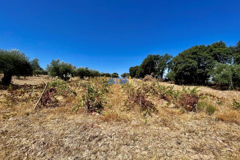 Farm hus i Castelo Branco, Castelo Branco, Castelo Branco - € 190.000 | Ref: 123063 - foto 7