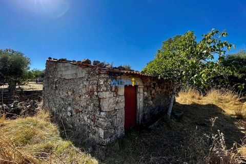 Farm hus i Castelo Branco, Castelo Branco, Castelo Branco - € 190.000 | Ref: 123063 - foto 9