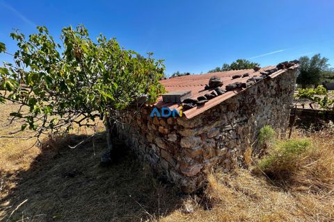 Farm hus i Castelo Branco, Castelo Branco, Castelo Branco - € 190.000 | Ref: 123063 - foto 11