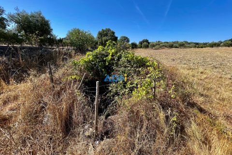 Farm hus i Castelo Branco, Castelo Branco, Castelo Branco - € 190.000 | Ref: 123063 - foto 13