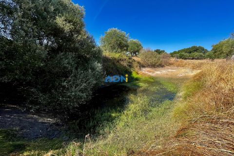 Farm hus i Castelo Branco, Castelo Branco, Castelo Branco - € 190.000 | Ref: 123063 - foto 14