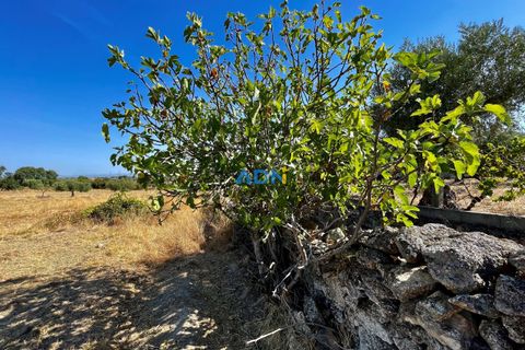 Farm hus i Castelo Branco, Castelo Branco, Castelo Branco - € 190.000 | Ref: 123063 - foto 16
