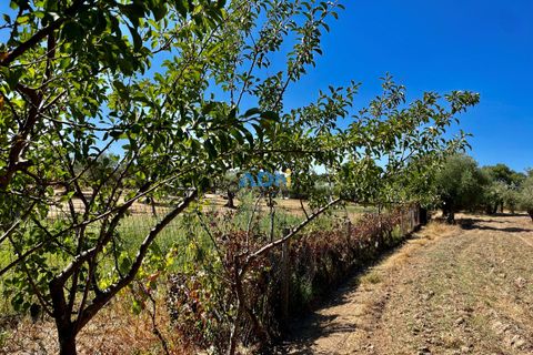 Farm hus i Castelo Branco, Castelo Branco, Castelo Branco - € 190.000 | Ref: 123063 - foto 21