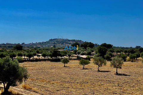 Farm hus i Castelo Branco, Castelo Branco, Castelo Branco - € 190.000 | Ref: 123063 - foto 24
