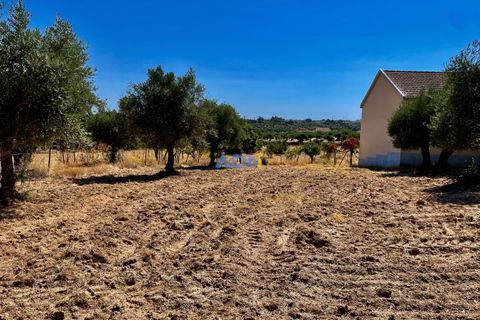Farm hus i Castelo Branco, Castelo Branco, Castelo Branco - € 190.000 | Ref: 123063 - foto 25