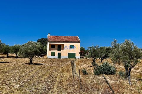 Farm hus i Castelo Branco, Castelo Branco, Castelo Branco - € 190.000 | Ref: 123063 - foto 26