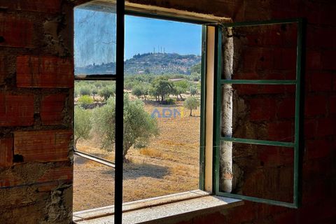 Farm hus i Castelo Branco, Castelo Branco, Castelo Branco - € 190.000 | Ref: 123063 - foto 33