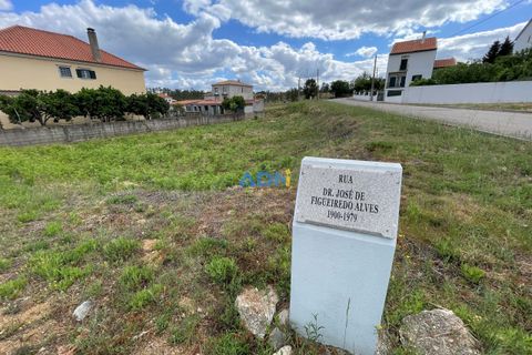 Helårsgrund i Castelo Branco, Castelo Branco, Castelo Branco - € 22.500 | Ref: 123066 - foto 5