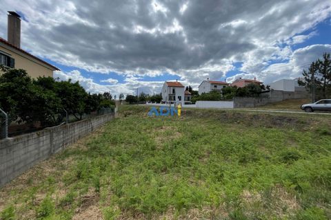 Helårsgrund i Castelo Branco, Castelo Branco, Castelo Branco - € 22.500 | Ref: 123066 - foto 8