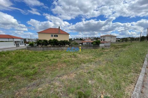 Helårsgrund i Castelo Branco, Castelo Branco, Castelo Branco - € 22.500 | Ref: 123066 - foto 9