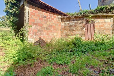 Villa i Viana do Castelo, Viana do Castelo, Viana do Castelo - € 182.500 | Ref: 2335 - foto 17