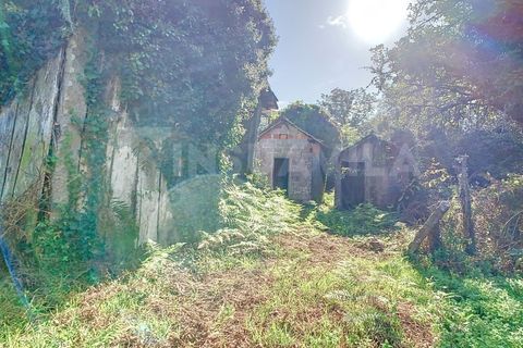 Villa i Viana do Castelo, Viana do Castelo, Viana do Castelo - € 182.500 | Ref: 2335 - foto 20
