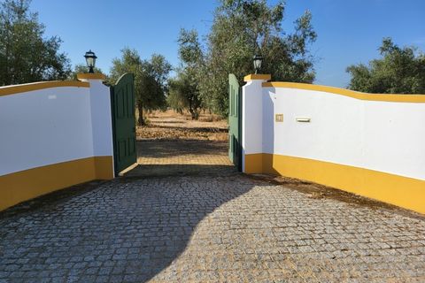 Farm i Avis, Portalegre, Avis - € 310.000 | Ref: JG2177 - foto 2