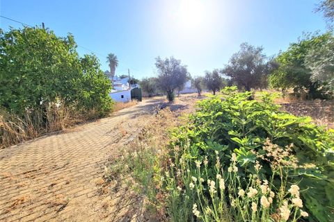Farm i Avis, Portalegre, Avis - € 310.000 | Ref: JG2177 - foto 5
