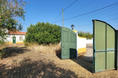 Farm i Avis, Portalegre, Avis - € 310.000 | Ref: JG2177 - foto 35