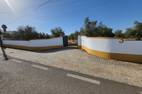 Farm i Avis, Portalegre, Avis - € 310.000 | Ref: JG2177 - foto 38