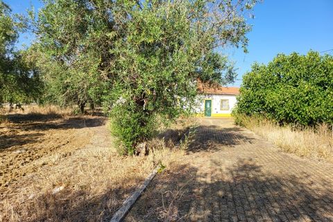 Farm i Avis, Portalegre, Avis - € 310.000 | Ref: JG2177 - foto 41