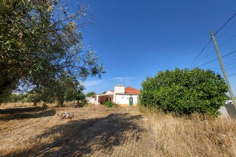 Farm i Avis, Portalegre, Avis - € 310.000 | Ref: JG2177 - foto 42