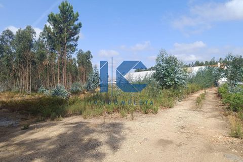 Helårsgrund i Agueda, Aveiro, Agueda - € 75.000 | Ref: 20230800102 - foto 2