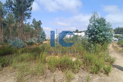 Helårsgrund i Agueda, Aveiro, Agueda - € 75.000 | Ref: 20230800102 - foto 3