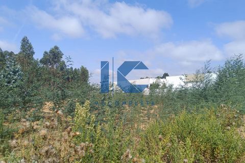 Helårsgrund i Agueda, Aveiro, Agueda - € 75.000 | Ref: 20230800102 - foto 5